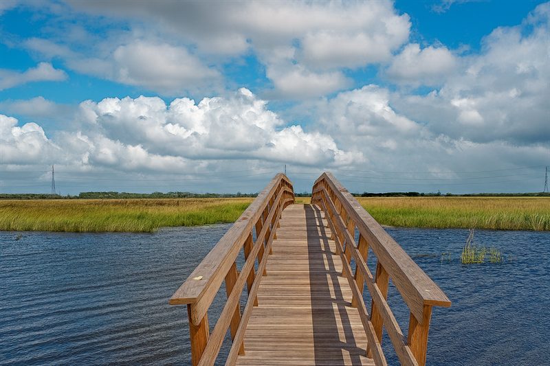 Een houten bruggetje over het water van de Onlanden, met riet en wolken